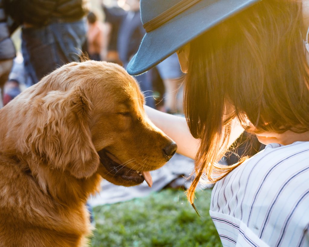 Un chien heureux qui reçoit des caresses