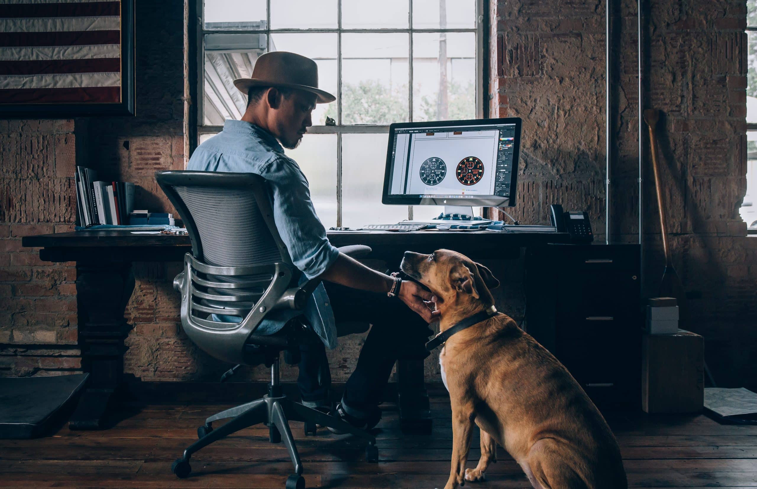 Un chien dans un bureau